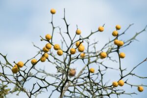 美顔器の選び方を迷わないためのチェックリストは？