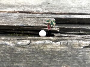 ほうれい線とたるみ対策に効果的なRF美顔器はどれ？