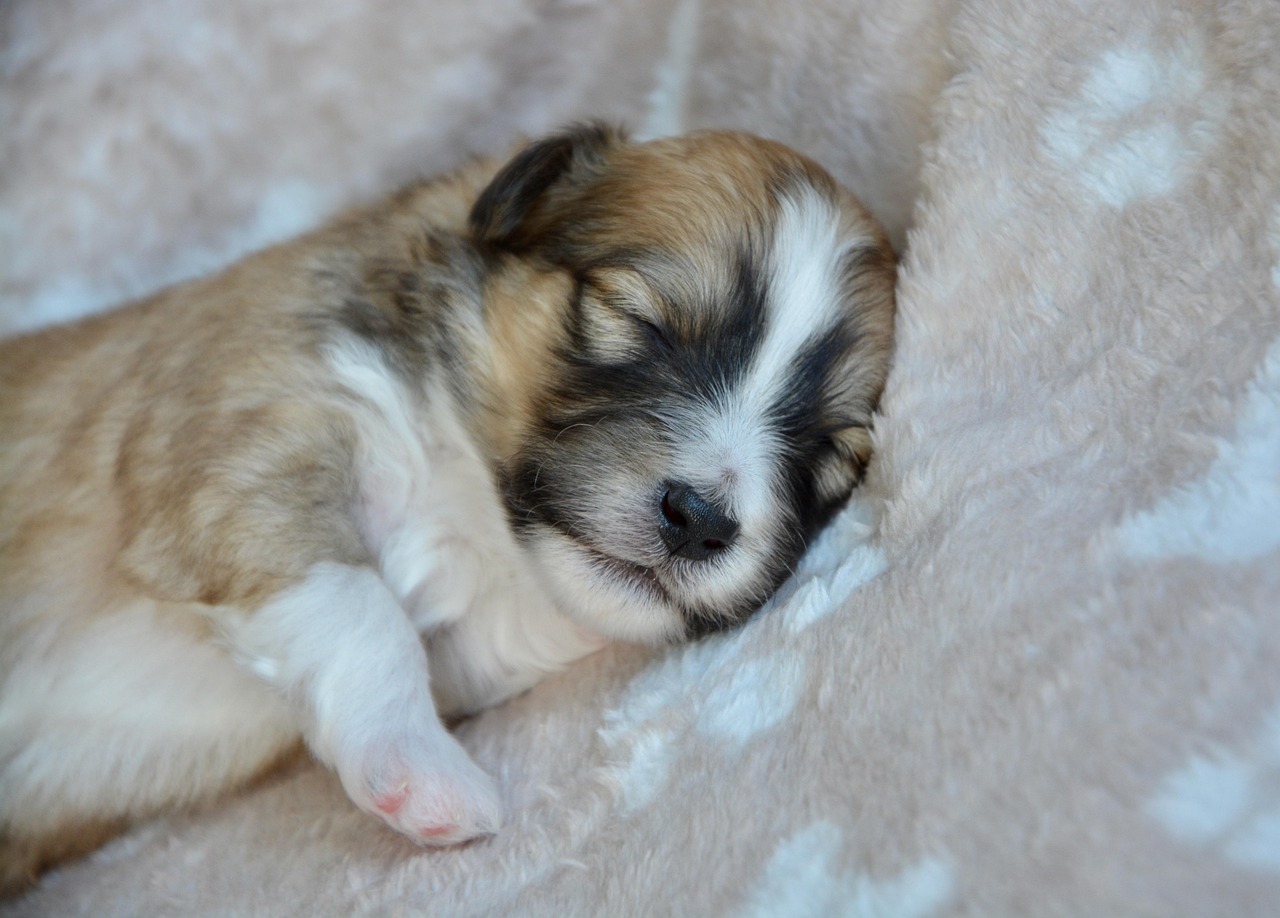 レチノールを併用する際の美顔器使用に関する注意点は？