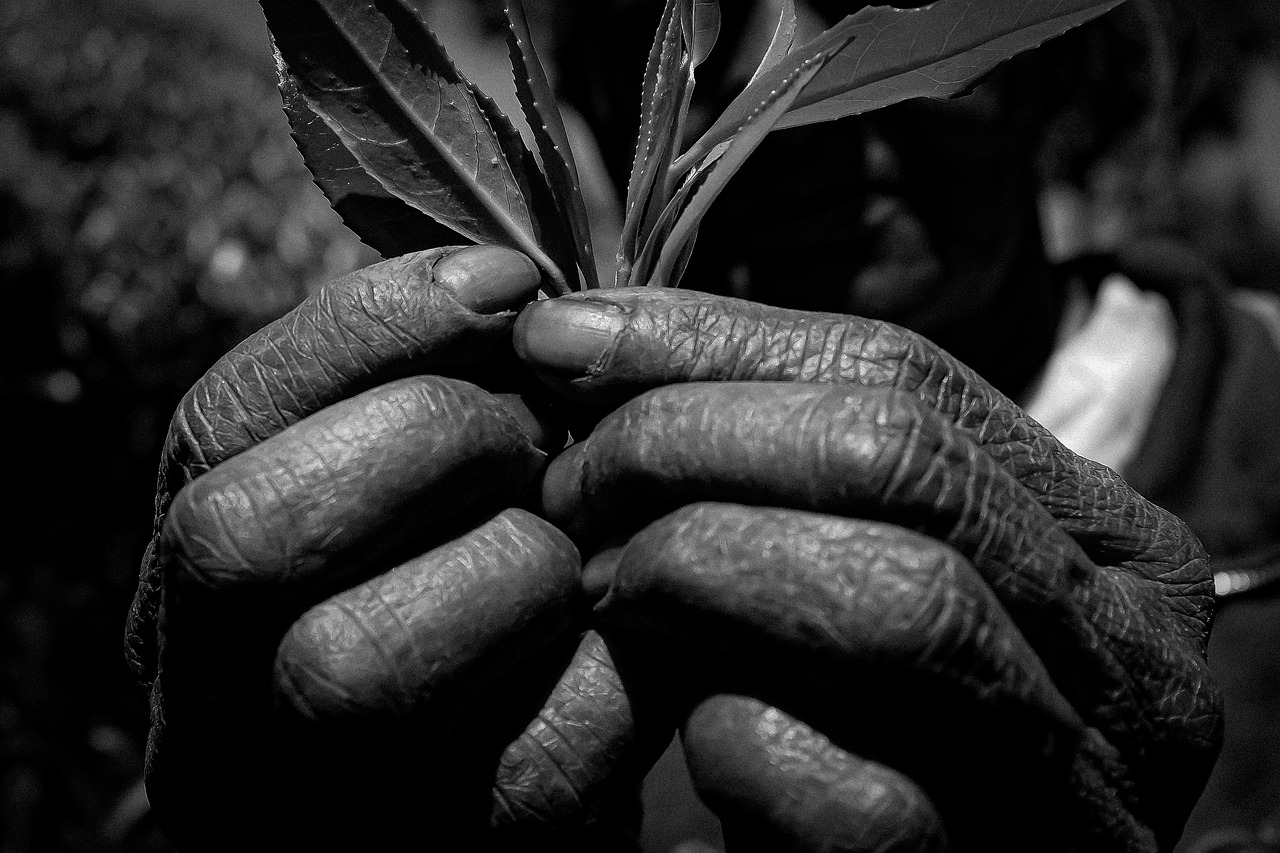 超音波美顔器はシワにどのような効果があるのか？