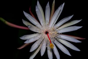 美容機器を夜に使用する際の注意点は？