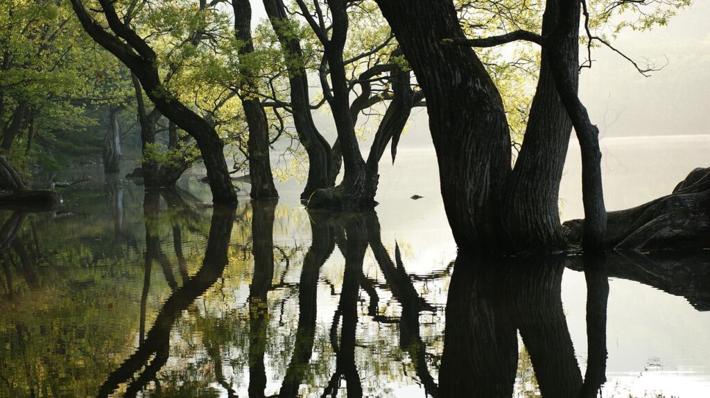 コラーゲン生成に効果的なレチノールの使い方は？