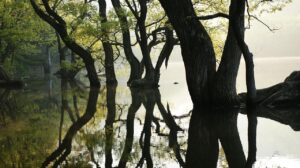 コラーゲン生成に効果的なレチノールの使い方は？