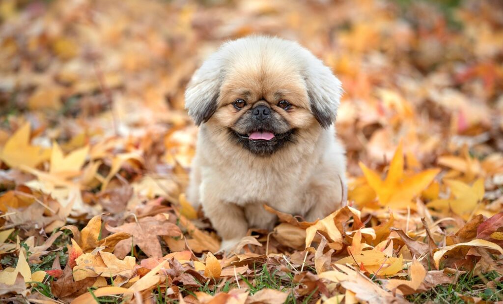 レチノールアイセラムの効果と使い方は？