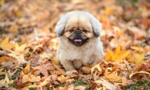 目元のアンチエイジングに効果的な方法は？