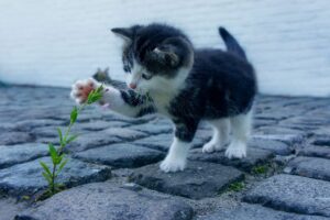 シミを薄くする方法は本当に効果的？